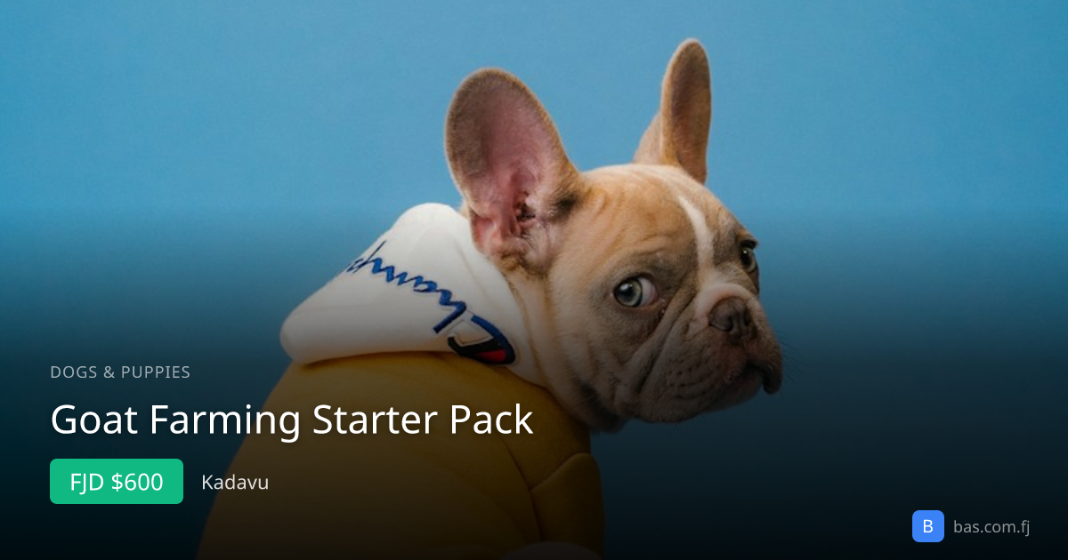 Goat Farming Starter Pack — FJD $600 in Kadavu | bas.com.fj
