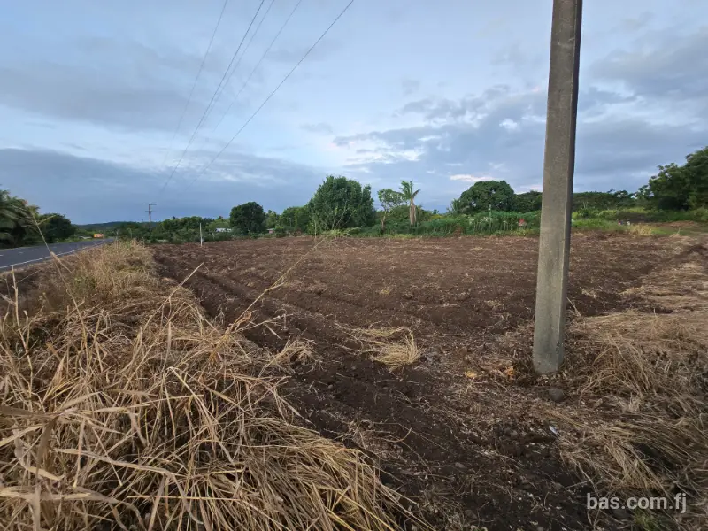 Land for sale. 2 lots available ✨ Key Fe